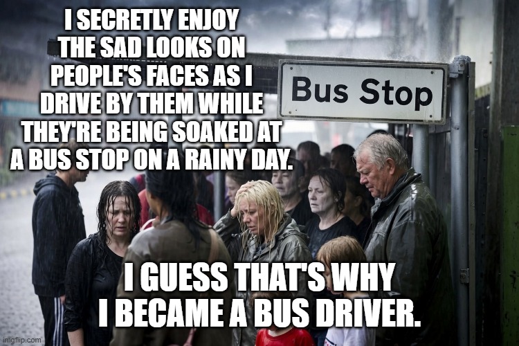 BUS.jpg