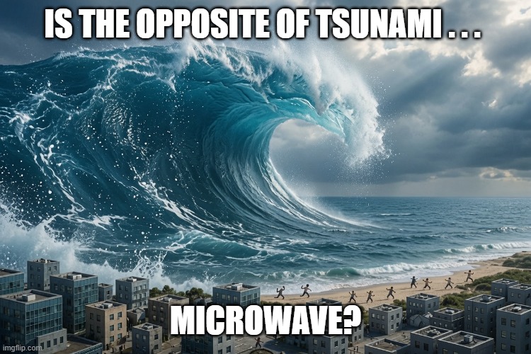 MICRO-1.jpg