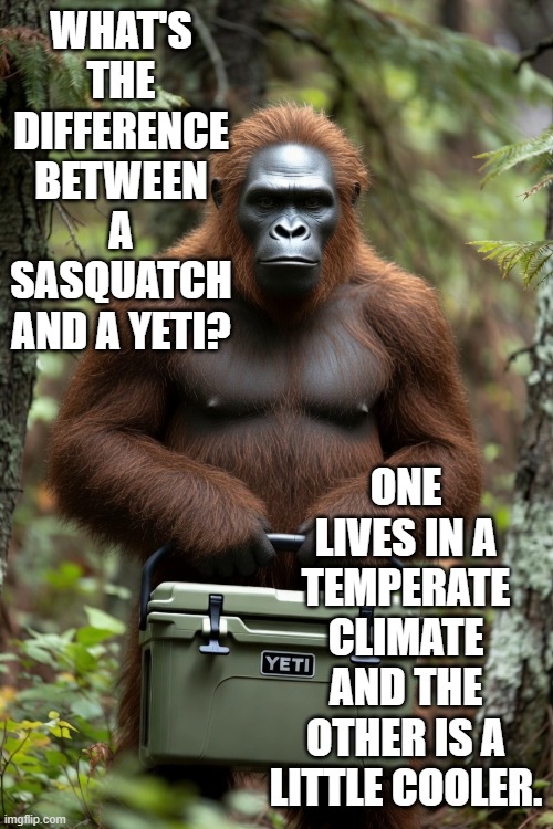 YETI.jpg