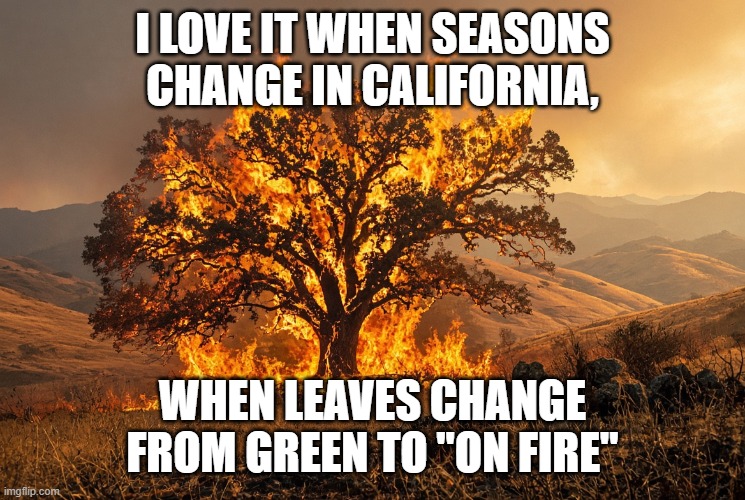 LEAVES.jpg