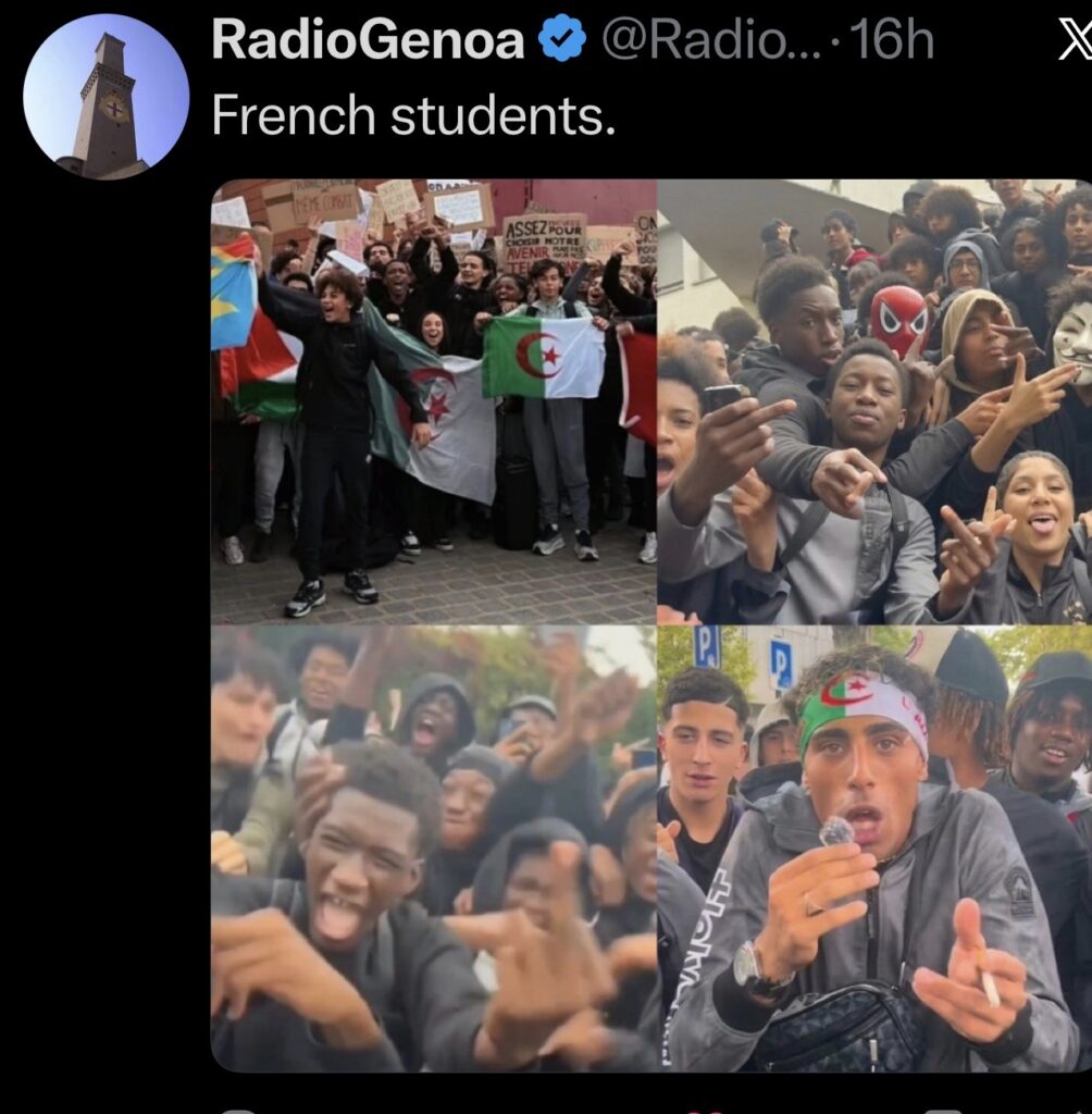 FRENCH-1004x1024.jpeg